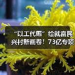 “以工代赈”绘就富民兴村新画卷!73亿专项投资已下达(图1) “以工代赈”绘就富民兴村新画卷!73亿专项投资已下达(图1)