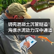 钢壳混凝土沉管隧道！海螺水泥助力深中通道建设（图2）
