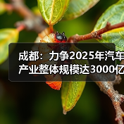 成都:力争2025年汽车产业整体规模达3000亿元(图3) 成都:力争2025年汽车产业整体规模达3000亿元(图3)