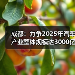 成都:力争2025年汽车产业整体规模达3000亿元(图2) 成都:力争2025年汽车产业整体规模达3000亿元(图2)