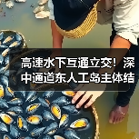 高速水下互通立交!深中通道东人工岛主体结构施工完成!(图3) 高速水下互通立交!深中通道东人工岛主体结构施工完成!(图3)