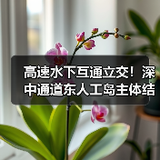 高速水下互通立交!深中通道东人工岛主体结构施工完成!(图2) 高速水下互通立交!深中通道东人工岛主体结构施工完成!(图2)