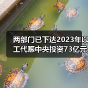 两部门已下达2023年以工代赈中央投资73亿元!(图3) 两部门已下达2023年以工代赈中央投资73亿元!(图3)