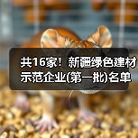 共16家!新疆绿色建材示范企业(第一批)名单公示(图3) 共16家!新疆绿色建材示范企业(第一批)名单公示(图3)