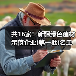 共16家!新疆绿色建材示范企业(第一批)名单公示(图4) 共16家!新疆绿色建材示范企业(第一批)名单公示(图4)