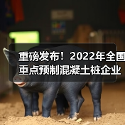 重磅发布!2022年全国重点预制混凝土桩企业产量(图2) 重磅发布!2022年全国重点预制混凝土桩企业产量(图2)