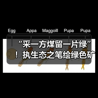 “采一方煤留一片绿”!执生态之笔绘绿色矿山?(图4) “采一方煤留一片绿”!执生态之笔绘绿色矿山?(图4)