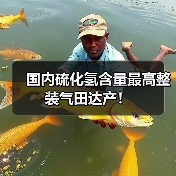 国内硫化氢含量最高整装气田达产!(图1) 国内硫化氢含量最高整装气田达产!(图1)