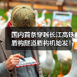 国内首条穿越长江高铁盾构隧道盾构机始发！（图4）