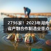 2796家!2023年湖南省产融合作制造业重点企业(图2) 2796家!2023年湖南省产融合作制造业重点企业(图2)