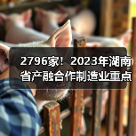 2796家!2023年湖南省产融合作制造业重点企业(图4) 2796家!2023年湖南省产融合作制造业重点企业(图4)