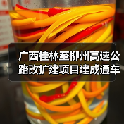 广西桂林至柳州高速公路改扩建项目建成通车（图3）