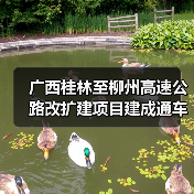 广西桂林至柳州高速公路改扩建项目建成通车（图2）