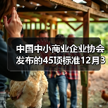 中国中小商业企业协会发布的45项标准12月31日实施