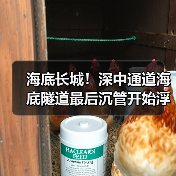 海底长城!深中通道海底隧道最后沉管开始浮运(图3) 海底长城!深中通道海底隧道最后沉管开始浮运(图3)