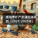 威海市矿产资源总体规划(2021―2025年)(图1) 威海市矿产资源总体规划(2021―2025年)(图1)