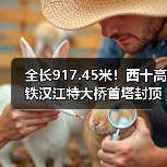 全长917.45米！西十高铁汉江特大桥首塔封顶（图4）