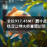 全长917.45米！西十高铁汉江特大桥首塔封顶（图3）