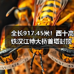 全长917.45米！西十高铁汉江特大桥首塔封顶（图2）