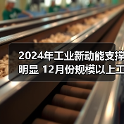 2024年工业新动能支撑明显 12月份规模以上工业企业利润较快增长