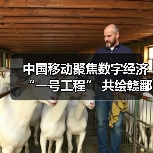 中国移动聚焦数字经济“一号工程” 共绘赣鄱“精彩画卷”(图3) 中国移动聚焦数字经济“一号工程” 共绘赣鄱“精彩画卷”(图3)