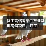 徐工高端零部件产业基地铸钢项目，开工！
