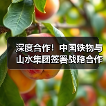 深度合作!中国铁物与山水集团签署战略合作协议(图2) 深度合作!中国铁物与山水集团签署战略合作协议(图2)