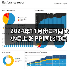 2024年11月份CPI同比小幅上涨 PPI同比降幅收窄(图3) 2024年11月份CPI同比小幅上涨 PPI同比降幅收窄(图3)
