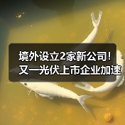 境外设立2家新公司！又一光伏上市企业加速全球化（图2）