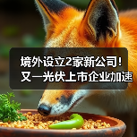 境外设立2家新公司！又一光伏上市企业加速全球化（图3）