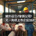 境外设立2家新公司！又一光伏上市企业加速全球化（图4）