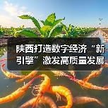 陕西打造数字经济“新引擎”激发高质量发展新动能