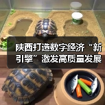 陕西打造数字经济“新引擎”激发高质量发展新动能(图2) 陕西打造数字经济“新引擎”激发高质量发展新动能(图2)