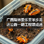 广西隆林委乐至革步高速公路一期工程建成通车(图2) 广西隆林委乐至革步高速公路一期工程建成通车(图2)