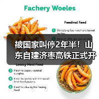 被国家叫停2年半！山东自建济枣高铁正式开工（图3）