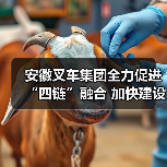安徽叉车集团全力促进“四链”融合 加快建设现代化产业体系（图4）