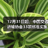 12月31日起，中国交通运输协会33项标准实施