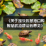《关于加快智慧港口和智慧航道建设的意见》解读