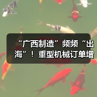 “广西制造”频频“出海”！重型机械订单增长显著