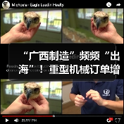 “广西制造”频频“出海”!重型机械订单增长显著(图4) “广西制造”频频“出海”!重型机械订单增长显著(图4)