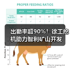 出勤率超90%！徐工挖机助力智利矿山开发
