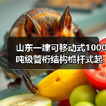 山东一建可移动式1000吨级管桁结构桅杆式起重机作业！