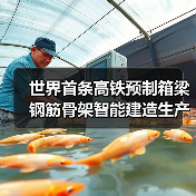 世界首条高铁预制箱梁钢筋骨架智能建造生产线正式投产(图2) 世界首条高铁预制箱梁钢筋骨架智能建造生产线正式投产(图2)