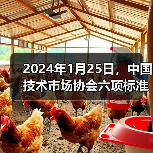 2024年1月25日,中国技术市场协会六项标准正式施行(图2) 2024年1月25日,中国技术市场协会六项标准正式施行(图2)