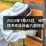 2024年1月25日,中国技术市场协会六项标准正式施行(图4) 2024年1月25日,中国技术市场协会六项标准正式施行(图4)