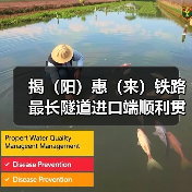 揭（阳）惠（来）铁路最长隧道进口端顺利贯通！