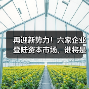 再迎新势力！六家企业登陆资本市场，谁将是下一个黑马？