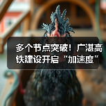 多个节点突破！广湛高铁建设开启“加速度”（图4）