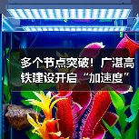 多个节点突破！广湛高铁建设开启“加速度”（图2）