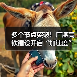 多个节点突破！广湛高铁建设开启“加速度”（图3）